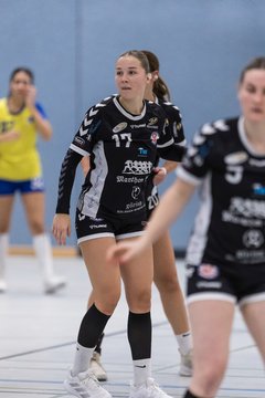 Bild 254 - F HSG Pinnau2 - Rellinger TV2 : Ergebnis: 27:20